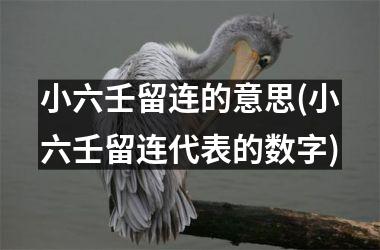 <h3>小六壬留连的意思(小六壬留连代表的数字)