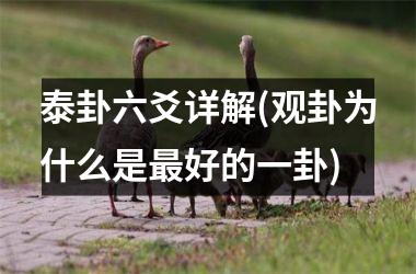 <h3>泰卦六爻详解(观卦为什么是最好的一卦)