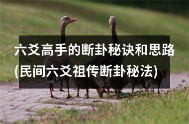 六爻高手的断卦秘诀和思路(民间六爻祖传断卦秘法)