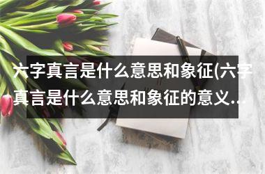 <h3>六字真言是什么意思和象征(六字真言是什么意思和象征的意义)