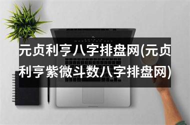 元贞利亨八字排盘网(元贞利亨紫微斗数八字排盘网)