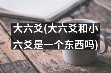 <h3>大六爻(大六爻和小六爻是一个东西吗)