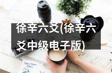 徐辛六爻(徐辛六爻中级