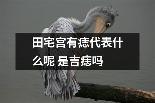 田宅宫有痣代表什么呢是