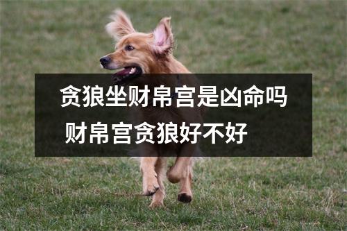 贪狼坐财帛宫是凶命吗财