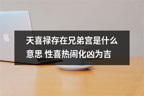 天喜禄存在兄弟宫是什么