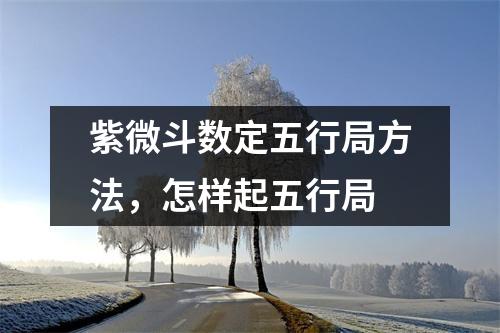 <h3>紫微斗数定五行局方法，怎样起五行局