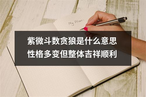 紫微斗数贪狼是什么意思