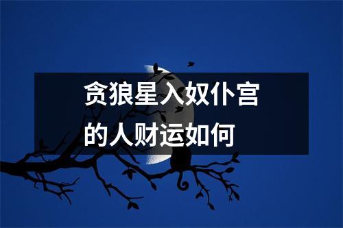 贪狼星入奴仆宫的人财运