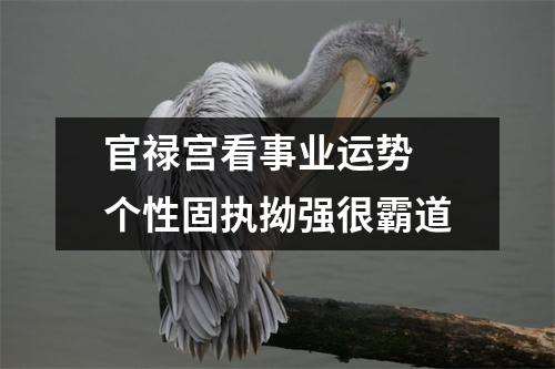 官禄宫看事业运势个性固