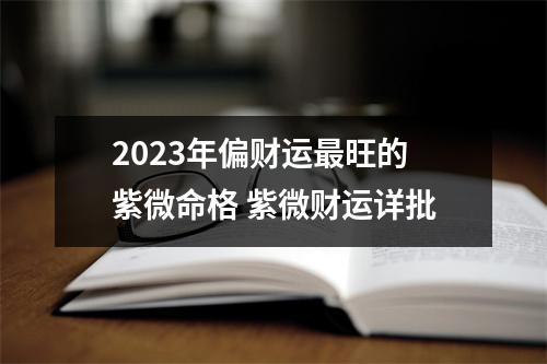 2025年偏财运旺的紫微命