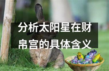 分析太阳星在财帛宫的具