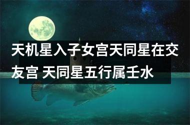 天机星入子女宫天同星在