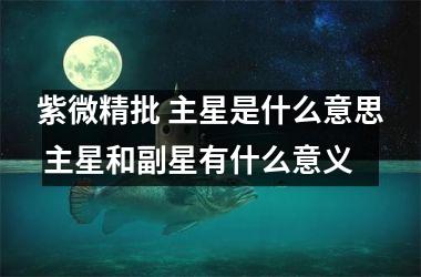 紫微精批 主星是什么意