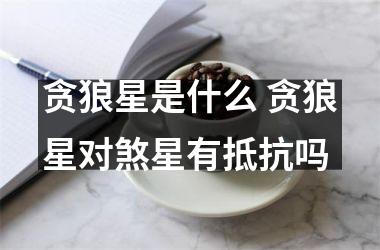 贪狼星是什么 贪狼星对