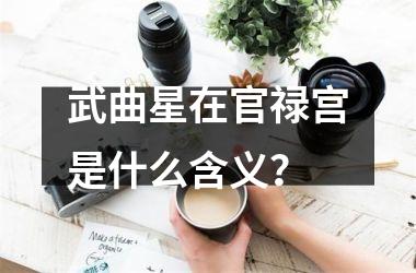 <h3>武曲星在官禄宫是什么含义？