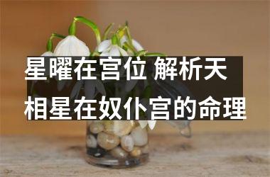 星曜在宫位 解析天相星