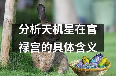 分析天机星在官禄宫的具