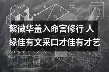 紫微华盖入命宫修行 人缘佳有文采口才佳有才艺