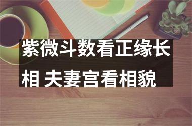 紫微斗数看正缘长相 夫