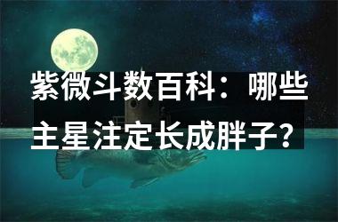 紫微斗数百科：哪些主星注