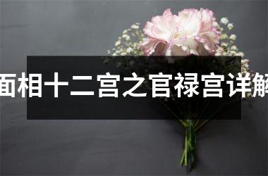 <h3>面相十二宫之官禄宫详解