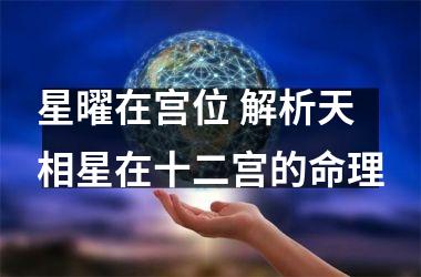 星曜在宫位 解析天相星