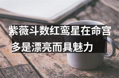 紫薇斗数红鸾星在命宫 