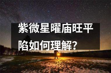 紫微星曜庙旺平陷如何理