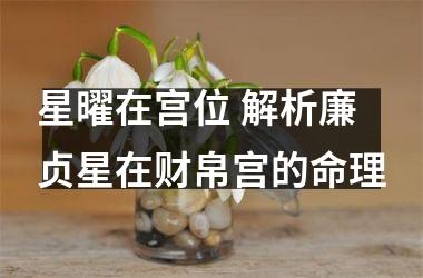 星曜在宫位 解析廉贞星