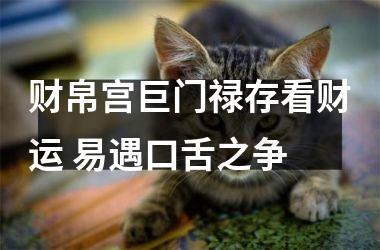 财帛宫巨门禄存看财运 