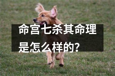 命宫七杀其命理是怎么样