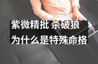 紫微精批 杀破狼为什么