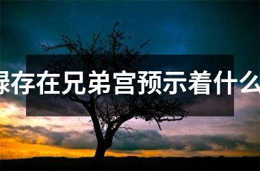 <h3>禄存在兄弟宫预示着什么？