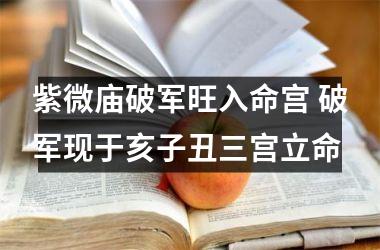 紫微庙破军旺入命宫 破