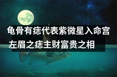 龟骨有痣代表紫微星入命