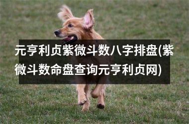 元亨利贞紫微斗数八字排