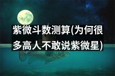 <h3>紫微斗数测算(为何很多高人不敢说紫微星)