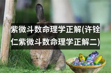 紫微斗数命理学正解(许