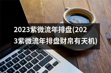 2025紫微流年排盘(2025