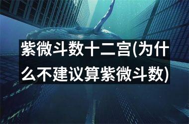 紫微斗数十二宫(为什么