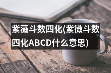 紫薇斗数四化(紫微斗数四化ABCD什么意思)