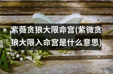 <h3>紫薇贪狼大限命宫(紫微贪狼大限入命宫是什么意思)