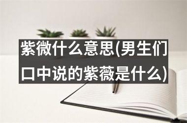 紫微什么意思(男生们口