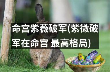 <h3>命宫紫薇破军(紫微破军在命宫 最高格局)