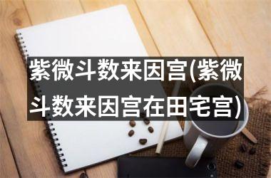 <h3>紫微斗数来因宫(紫微斗数来因宫在田宅宫)