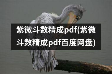 紫微斗数精成pdf(紫微斗