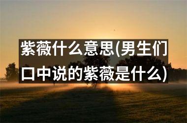 <h3>紫薇什么意思(男生们口中说的紫薇是什么)