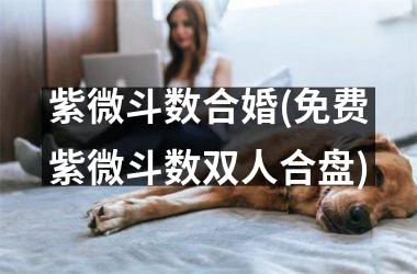 紫微斗数合婚(免费紫微