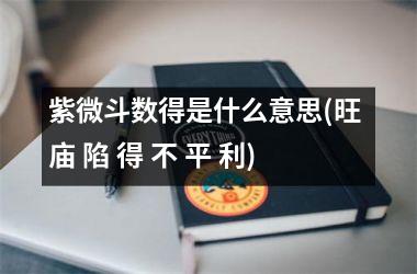 紫微斗数得是什么意思(